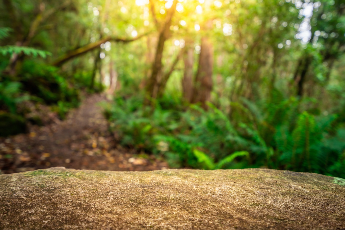 A calm outdoor wellness moment in nature